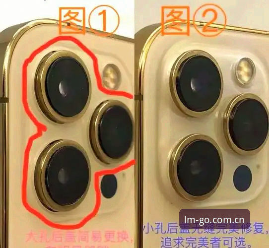 揭秘LMSPORT苹果安装背后的真相：老用户教你避开五大坑